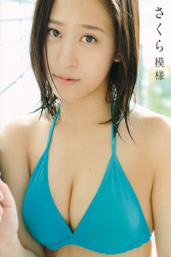 金田贵媳